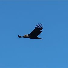 Profile image of Sportler66