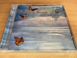 Bernward Koch – Walking Through Clouds
