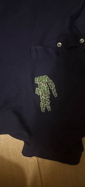 Magliette Polo: Polo Lacoste – Usato da Neuchâtel venduto da eli_kz9z 1