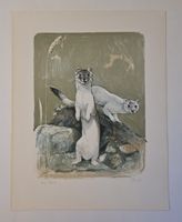 Willy Eugen Bär  Litho. Nr. handsign. Tier-Motiv,  50x40cm