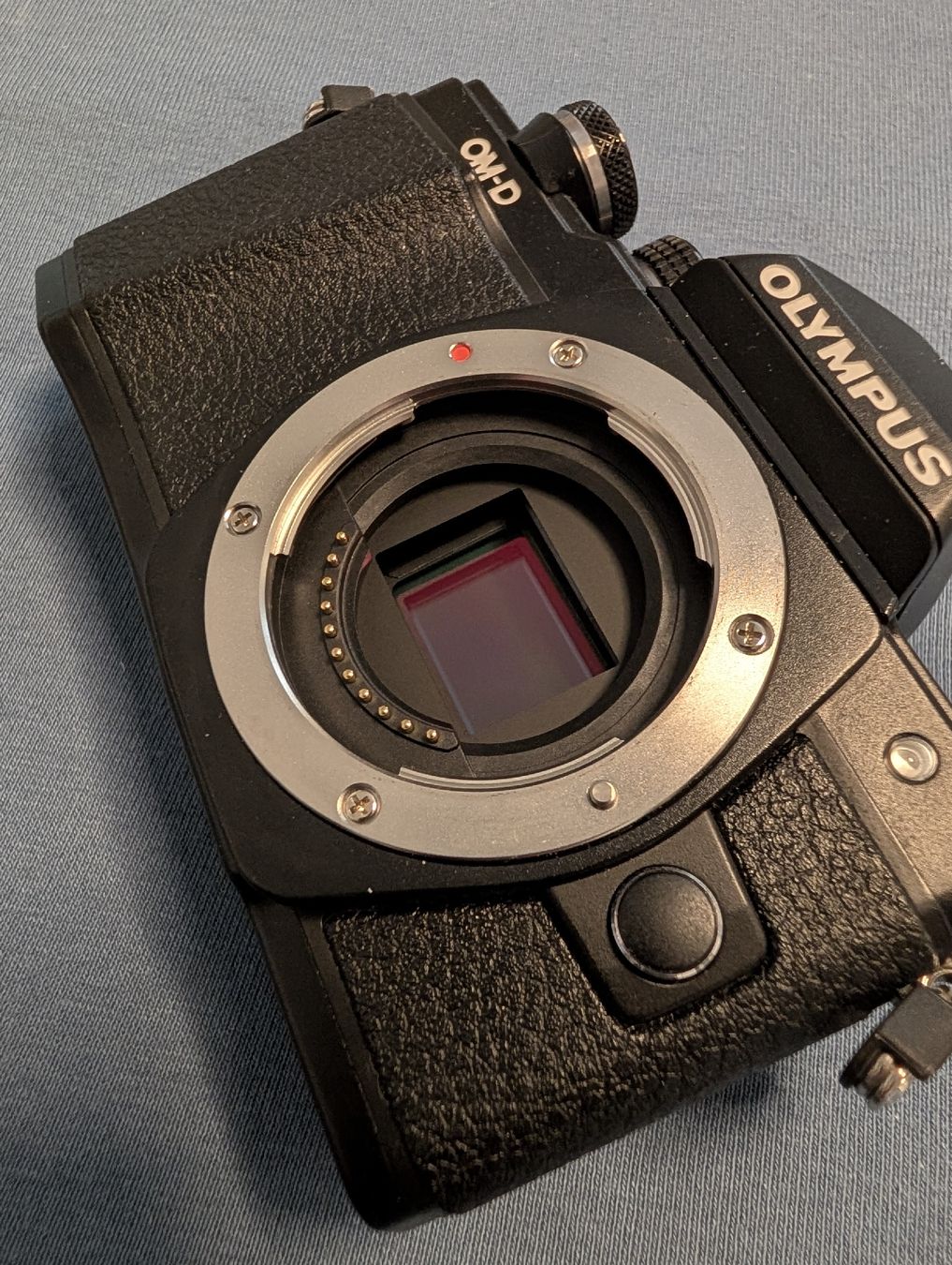 Olympus Fotocamera: Olympus OMD EM10 Markll EVF schaltet nicht um!!! – Usato da Wohlen AG venduto da Roulmaster 2