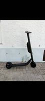 Ninebot Segway ES4 (E-Scooter)
