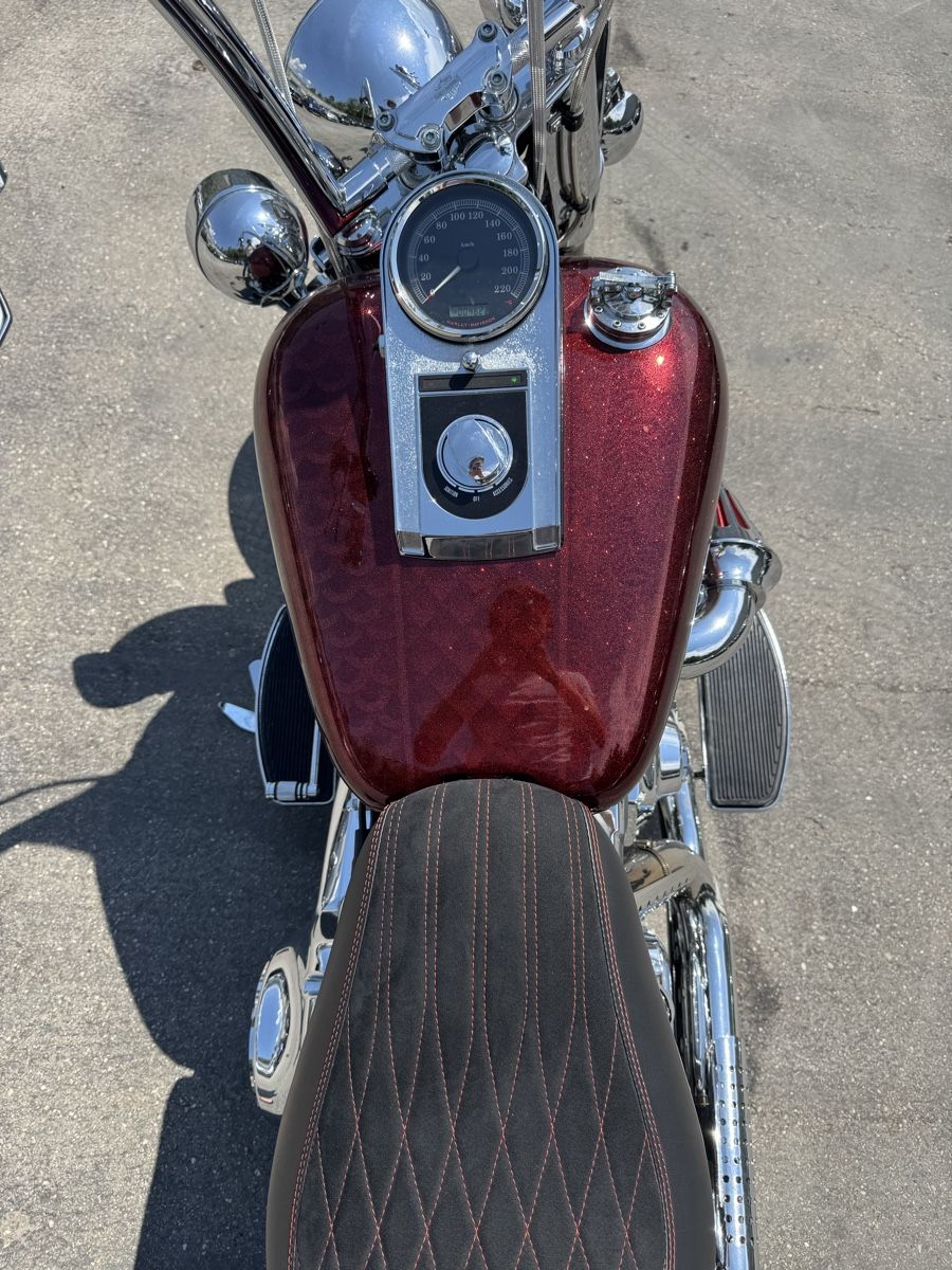 Harley-Davidson Cruisers: HARLEY-DAVIDSON FLSTC Softail – D'occasion à Chur par alt_lwl9 7