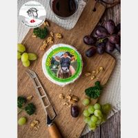 Käse Bio- Jersey Brie