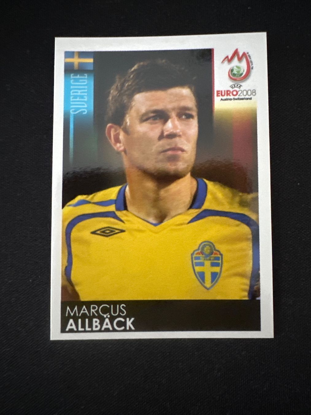 Panini Carte collezionabili: Panini UEFA EM 2008 Sticker - Nr. 407 – Usato da Sulz AG venduto da DealWerk