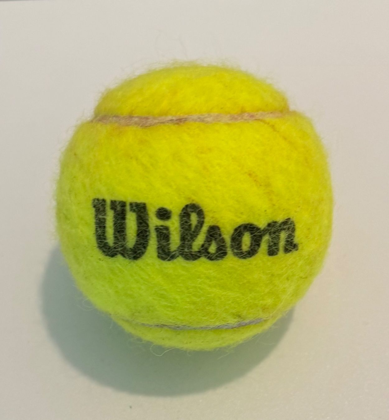 Wilson Palloni: Balle - Roland Garros 2025 – Usato da Bouveret venduto da jad_yp2v 1