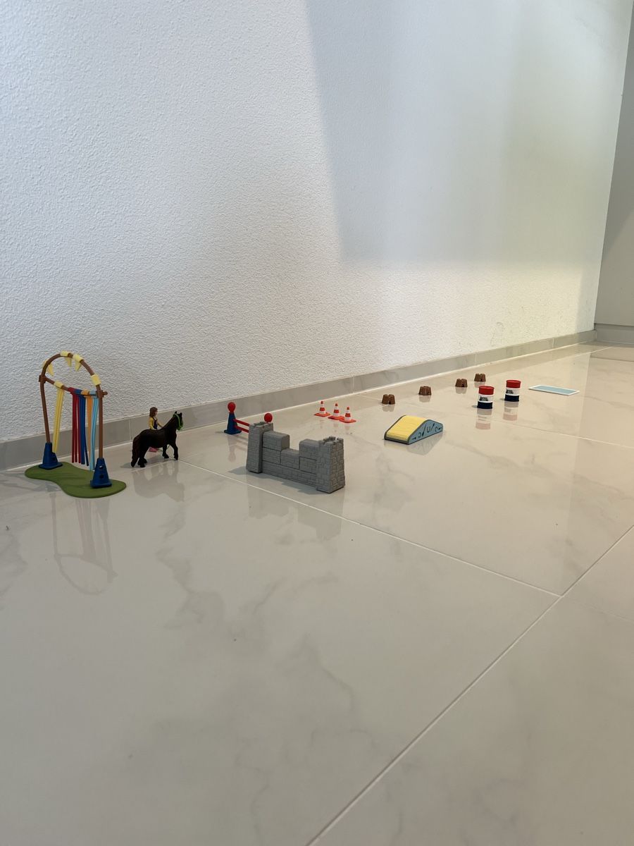 Schleich Jouets: Schleich Trainingsplatz – D'occasion à Dietwil par sarn 1