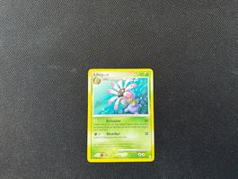 Liliep 105/146