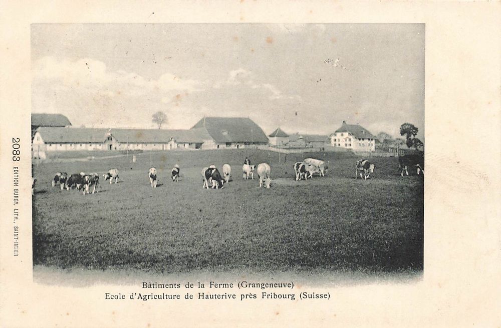 Bâtiments de la ferme grangeneuve Fribourg Kaufen auf Ricardo