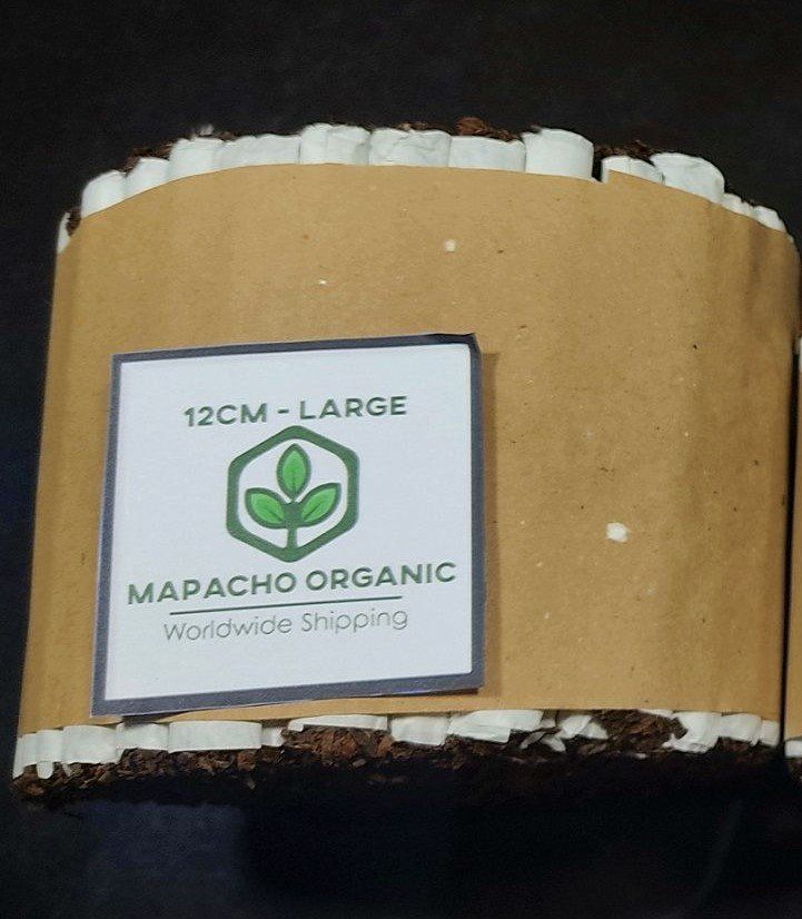 Tabacchi: 100 Mapacho - Incenso aus Peru, Neu – Nuovo (secondo la descrizione) da Zihlschlacht venduto da Glomex 1