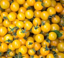 30 SAMEN GELBE CHERRY TOMATE‪ 30 graines‪‪‪‪