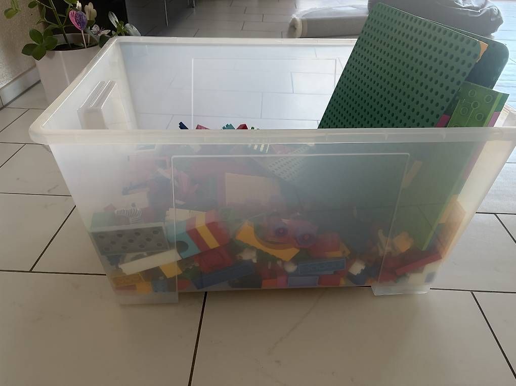 Giocattoli: Lego Duplo – Usato da Tägerig venduto da sha_wh9k