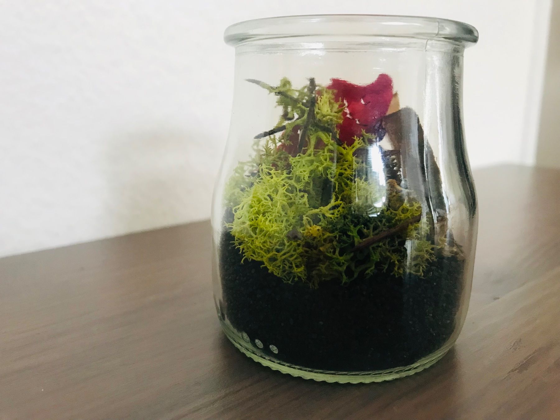 Tutte le decorazioni: dekoratives Sturzglas - Motiv: Wald – Nuovo e nell'imballaggio originale da Lausanne venduto da opi_92cn 9