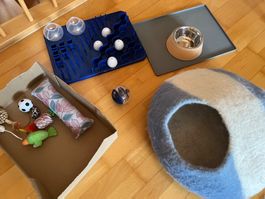 Starter-Set für Kätzchen, diverse Katzenutensilien