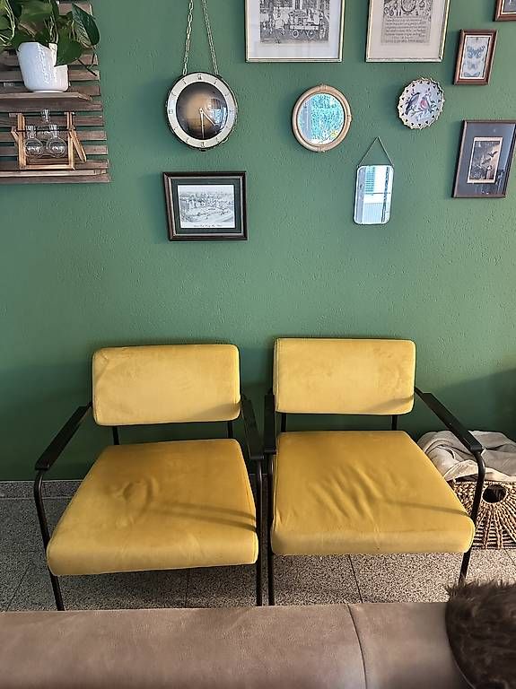 Poltrone: 2x Samtiger Lounge Stuhl / Sessel - gelb – Usato da Zetzwil venduto da wolwernieves 3
