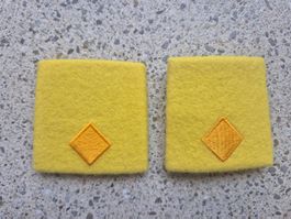 Gradabzeichen Patten Set Fachoffizier Panzergrenadier
