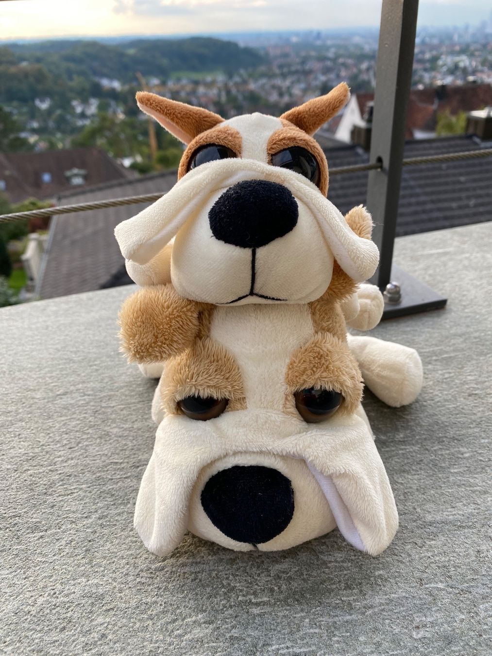 Giocattoli: 2 Plüsch Hunde – Usato da Muttenz venduto da Fantom03 3