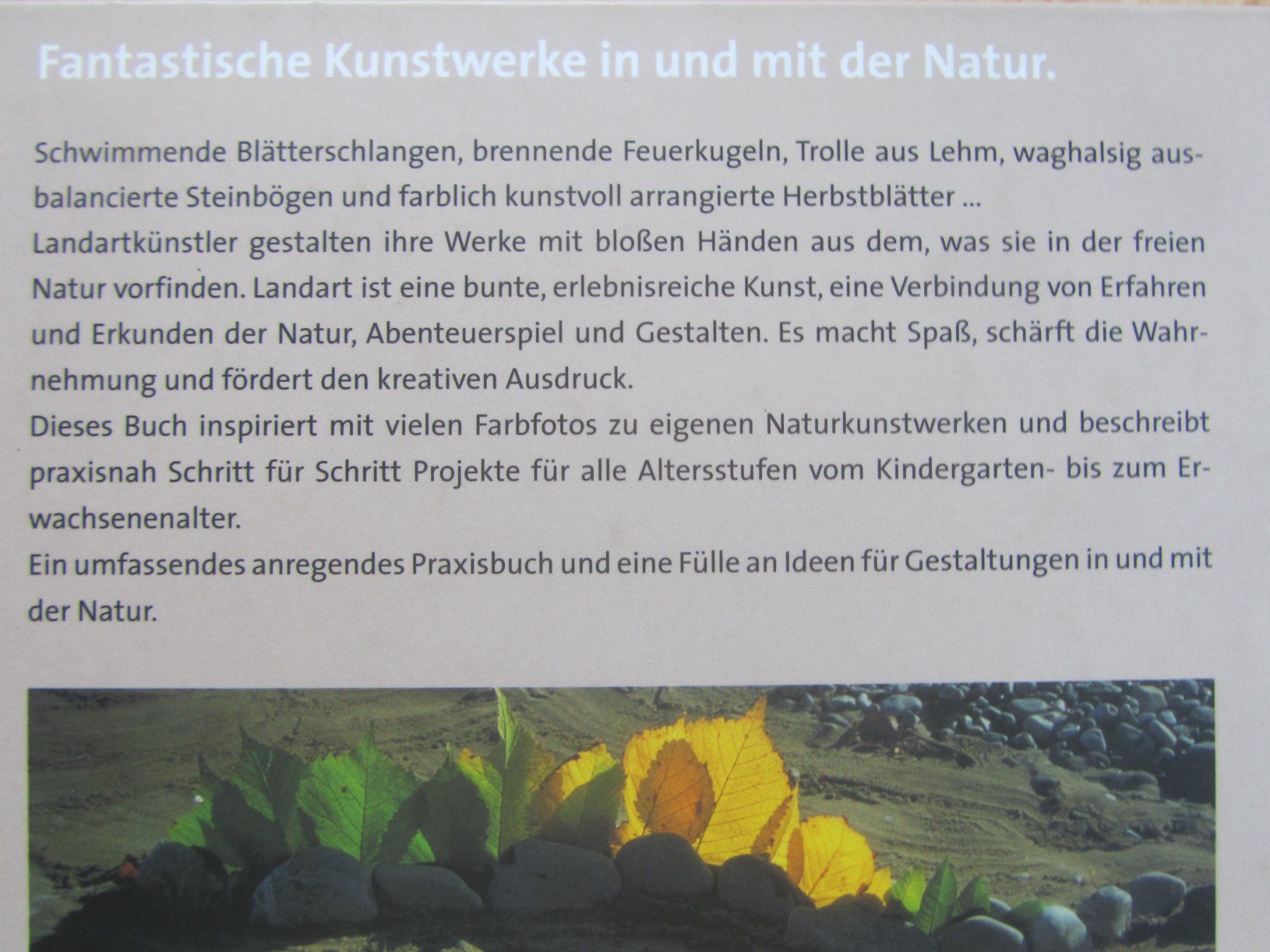 Libri: Naturwerkstatt Landart – Usato da Seengen venduto da mikelele 2