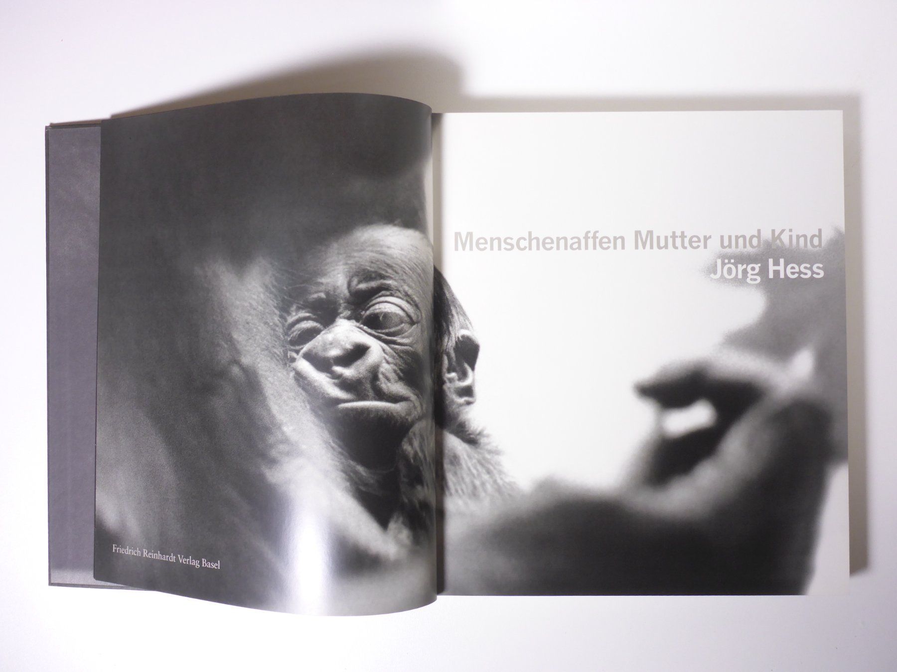 Libri: Jörg Hess: Menschenaffen Mutter und Kind – Usato da Erschwil venduto da taglang 1
