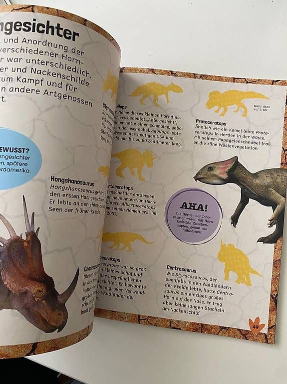Libri: Dinosaurier Stickerlexikon – Usato da Adlikon venduto da suermel2000 2
