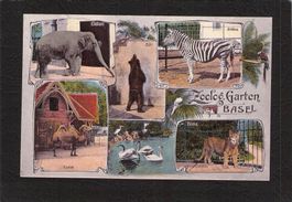 Zoolog. Garten Basel , gel. 3.Vlll.1921