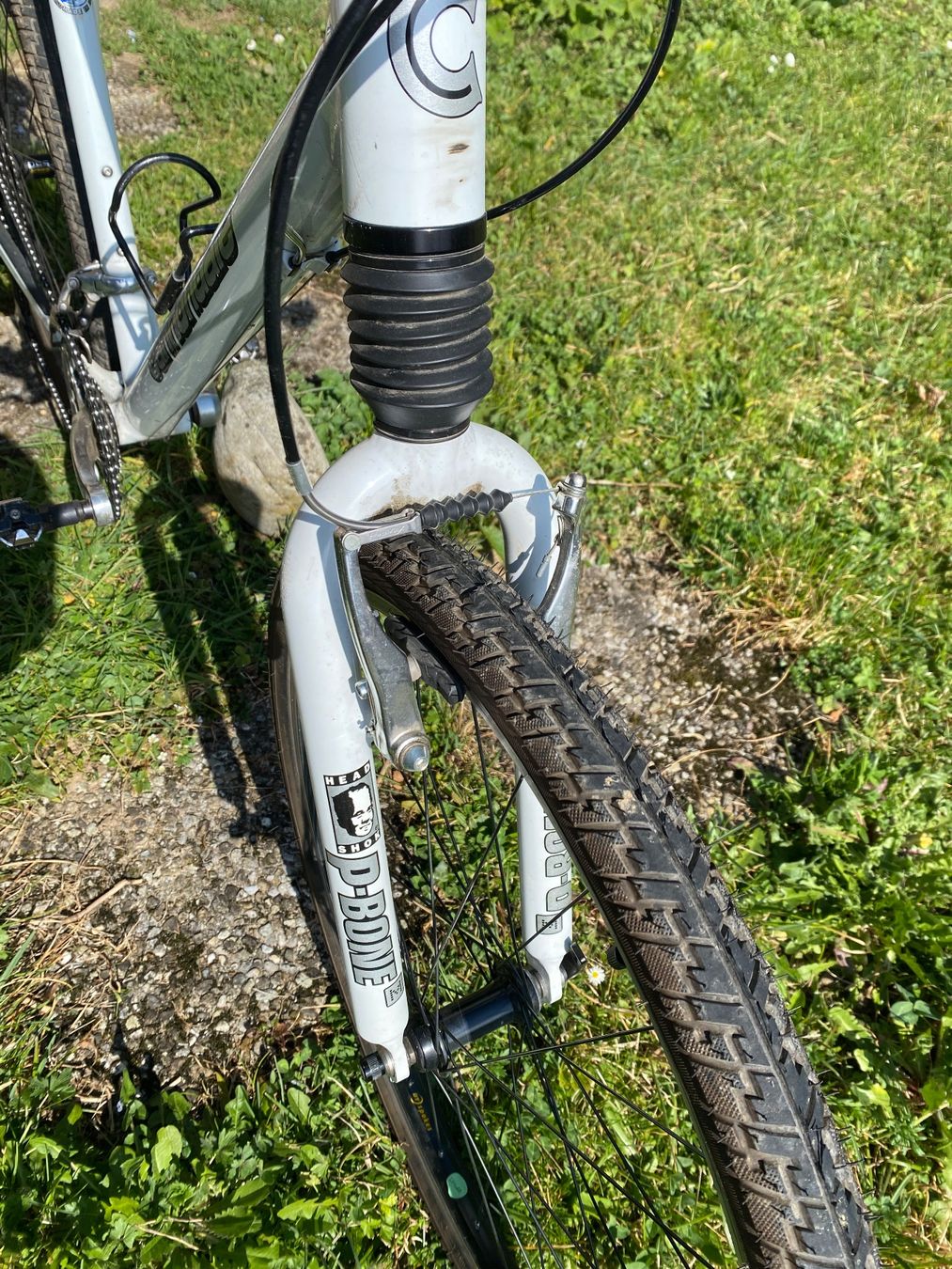 Cannondale Biciclette: Mountainbike Cannondale – Usato da Evilard venduto da rohstoeffchen 3