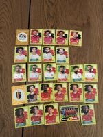 PANINI WM 2026 GRUPPE G EGY NZL IRN BEL