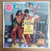 Chunky A ‎– Large And In Charge LP US-1989 1st PRESS VG+/VG