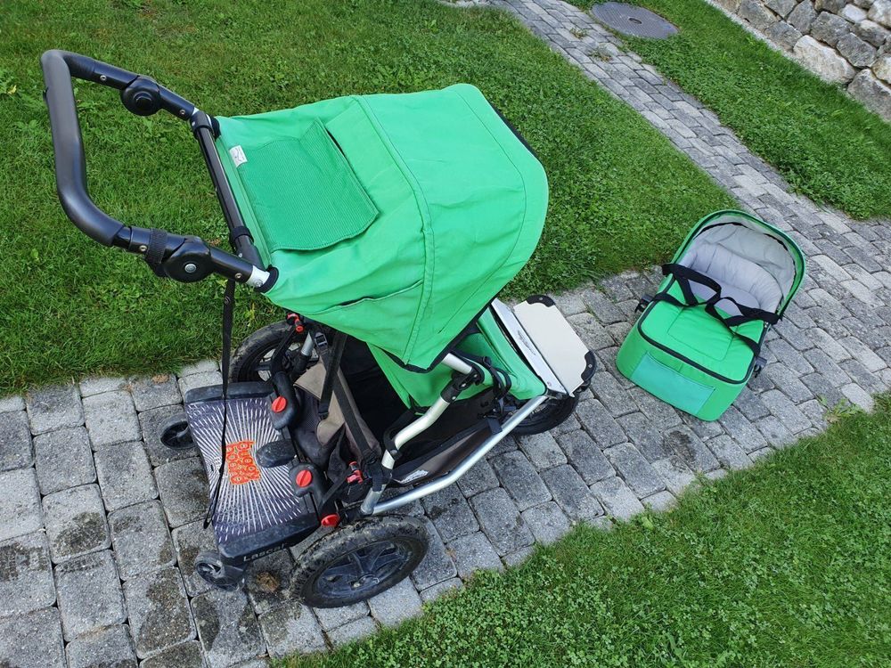 One tree cheap hill mountain buggy