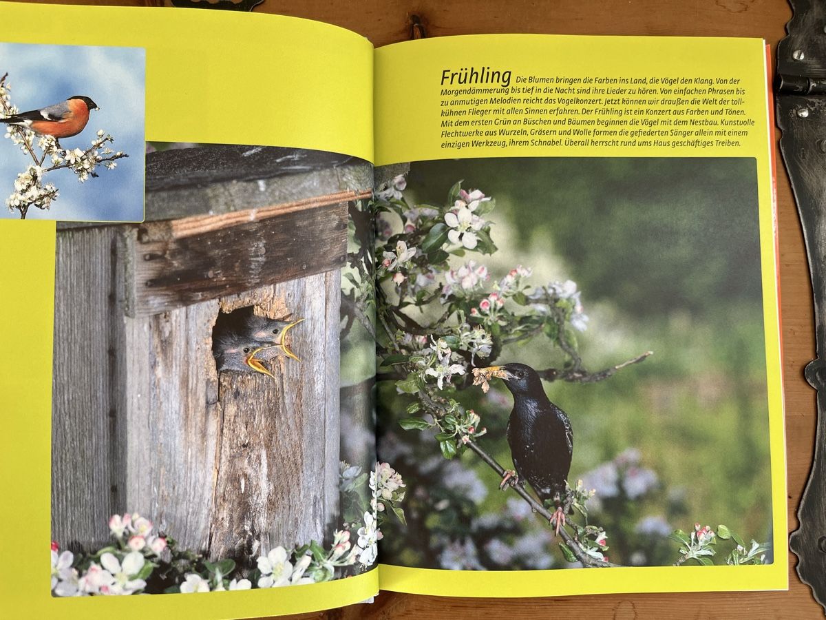 Libri: Vögel rund ums Haus - Wolfgang Dreye – Usato da Kilchberg ZH venduto da celinaemi 2
