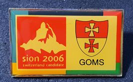 T625 - Pin Sion 2006 Switzerland Candidate / Goms