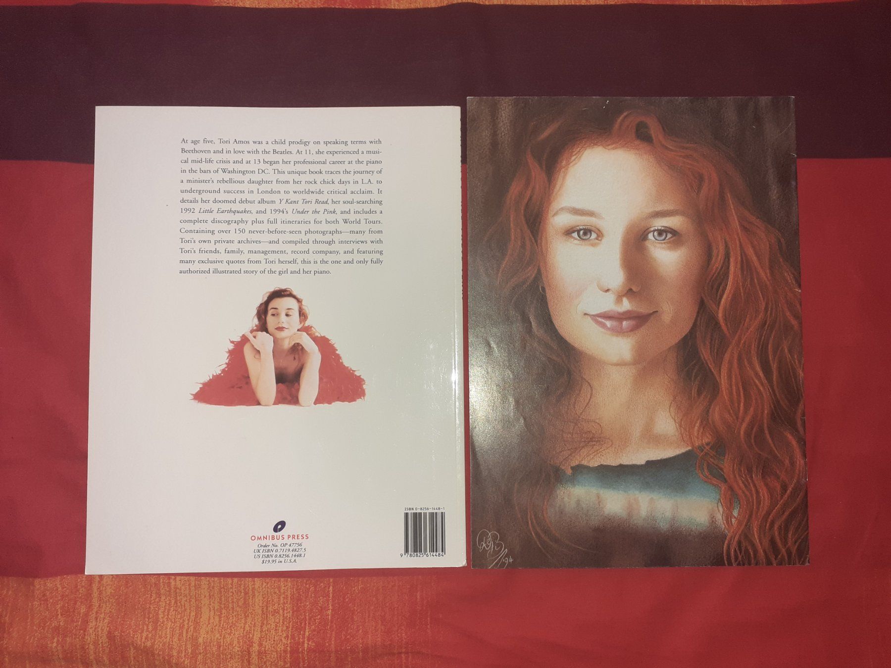 Livres: Tori Amos – D'occasion à Liebefeld par type013 1