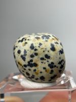 Dalmatian Jasper mit Bohrung, ca. 3 cm