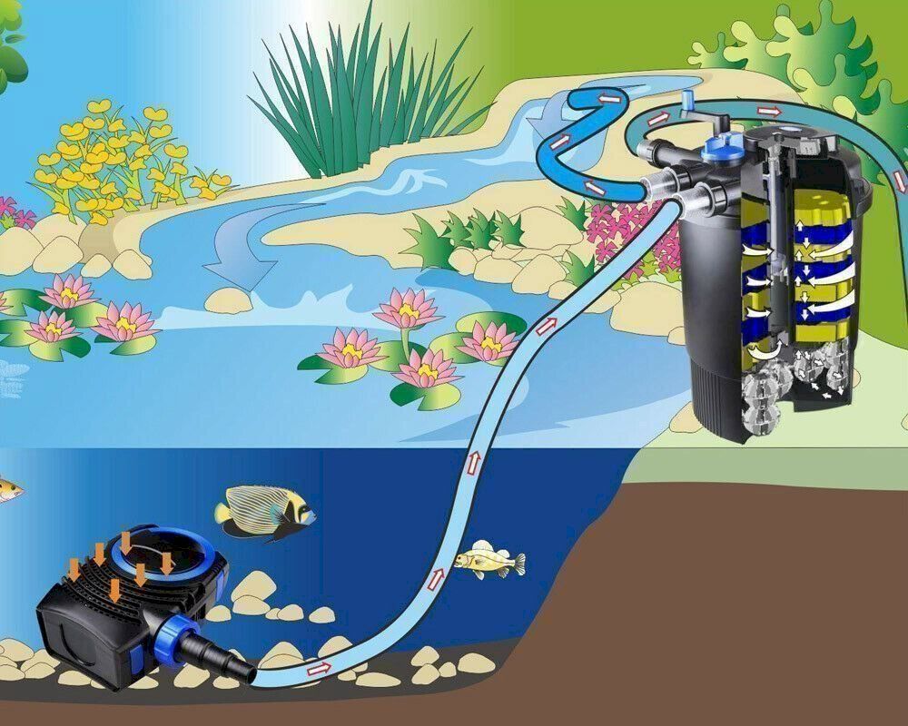 Stagni & Fontane ornamentali: SunSun CPF-30000 Druckteichfilter UVC 55 – Nuovo e nell'imballaggio originale da Bottighofen venduto da zaap 6