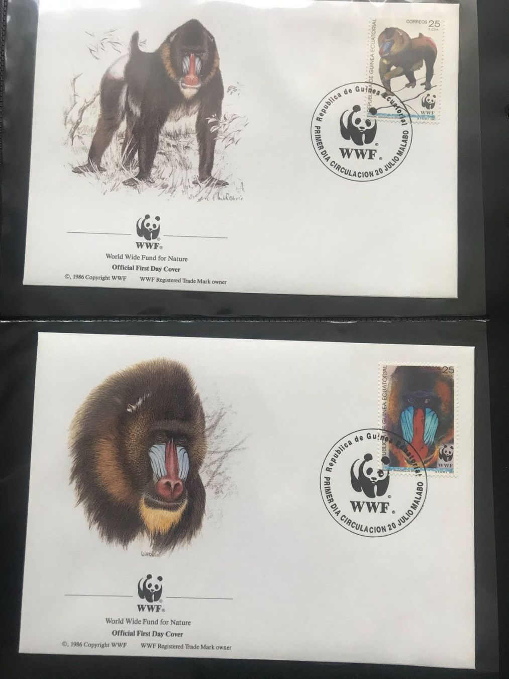 Tutti i francobolli: WWF Äquatorialguinea 1991 Mandrill Satz Ersttagsbriefe – Nuovo (secondo la descrizione) da Winterthur venduto da schnueps 1