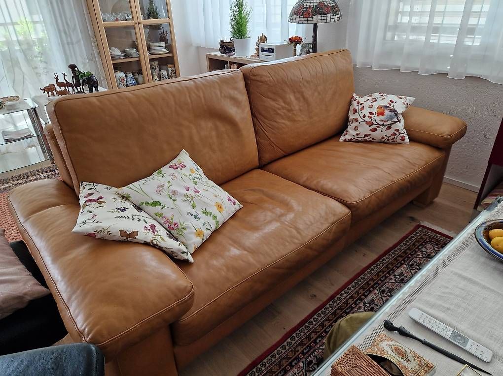 Sofas: Ledersofa  – Gebraucht aus Grosswangen von relleufp43
