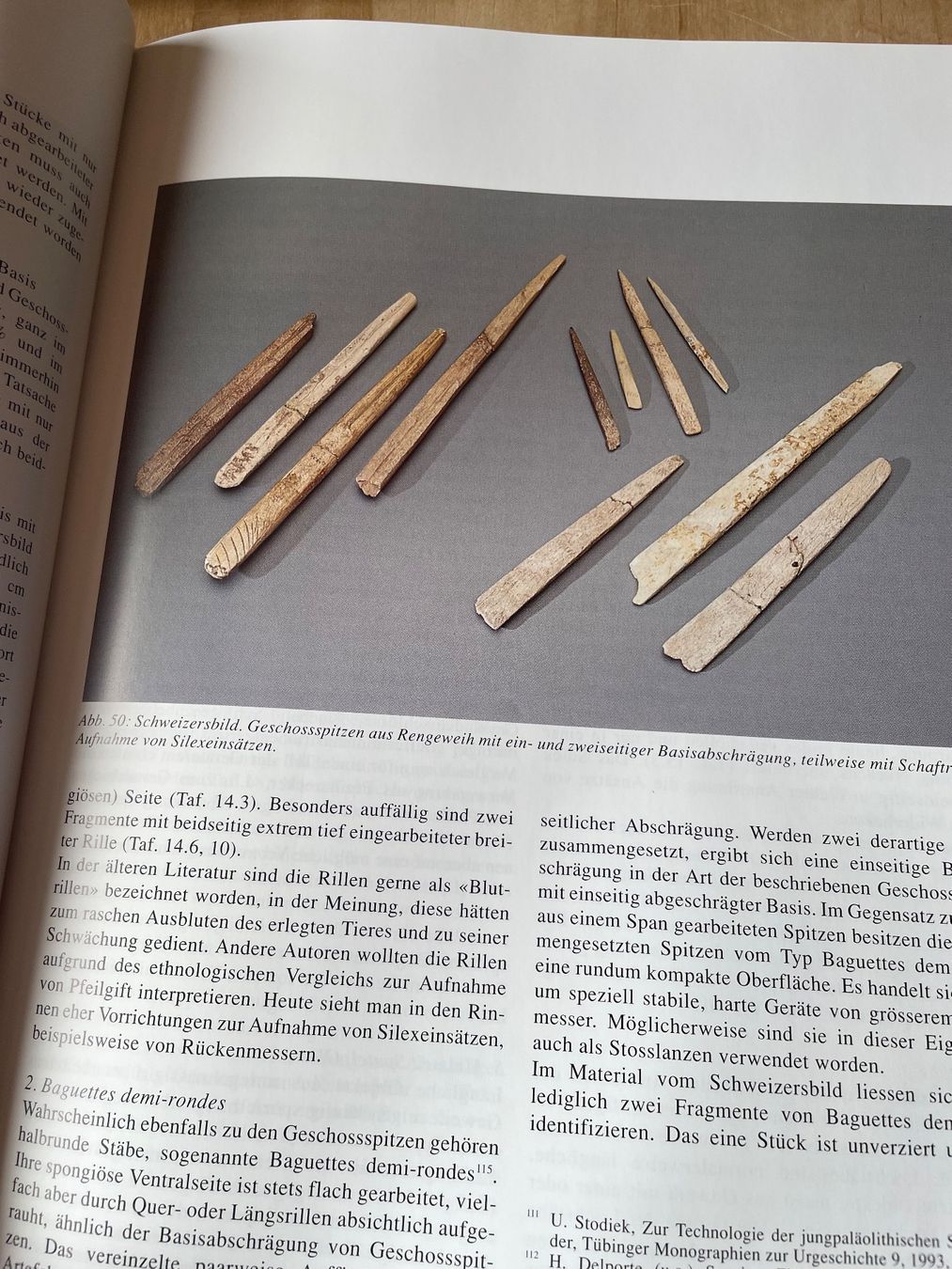 Libri: Schweizersbild - ein Jägerlager der Späteiszeit - Top! – Usato da Sent venduto da ManuelB07 4
