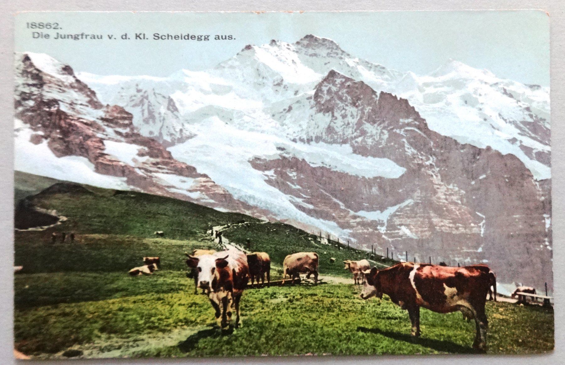 Ansichtskarten: Die jungfrau v. d. Kl. Scheidegg aus – Gebraucht aus Fétigny von Billy2miny