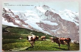 Die jungfrau v. d. Kl. Scheidegg aus