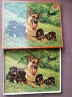 Puzzle Pénélope, Hund, 80 pièces