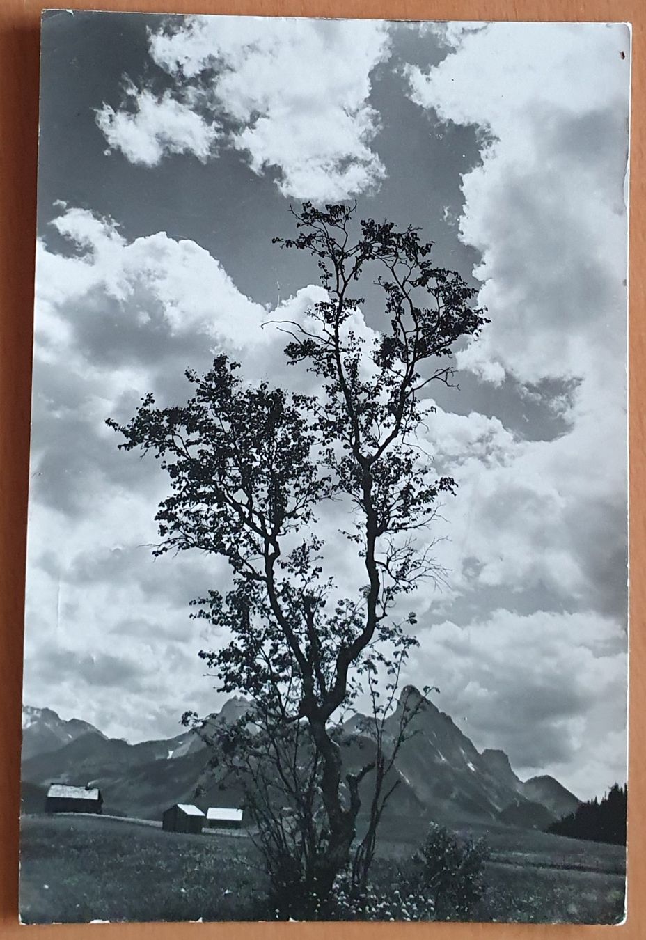 Tutti i francobolli: Aushilfsstempel Schönried 1956 – Usato da Kreuzlingen venduto da Rschweiz1 1