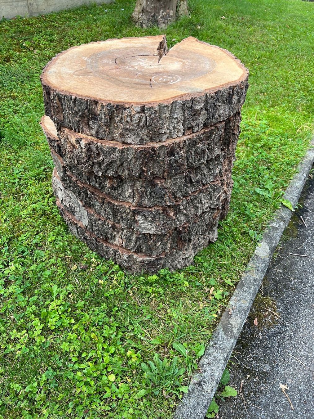 Holzartikel: Nussbaumscheiben / Stamm 31 Stück – Neu (gemäss Beschreibung) aus Port von N.v.A 4