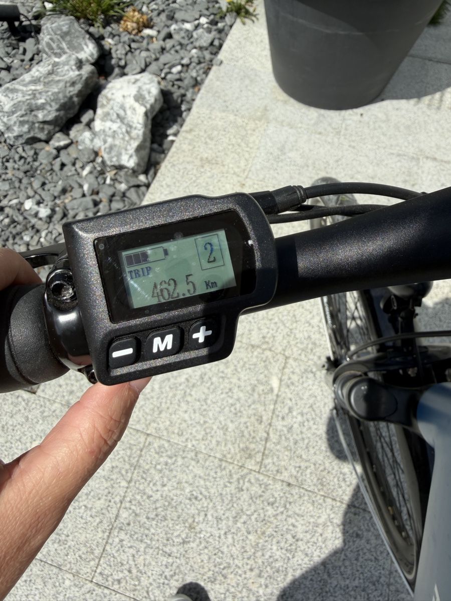 Biciclette: E-Bike Allegro Explorer – Usato da Ettenhausen TG venduto da Pascha03 6
