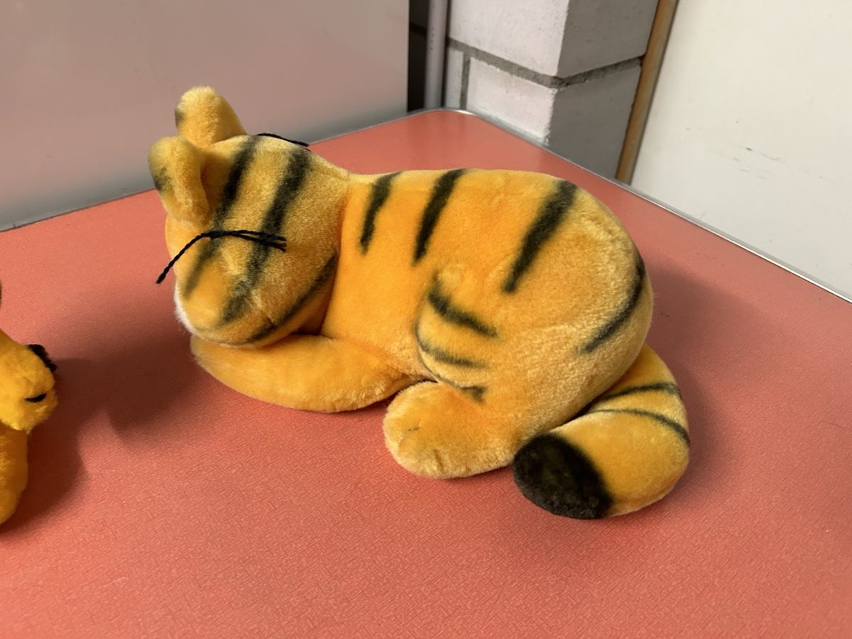 Giocattoli: Garfield Plüschtiere 2 Stück Zustand gut – Usato da Lanzenhäusern venduto da vic63 3