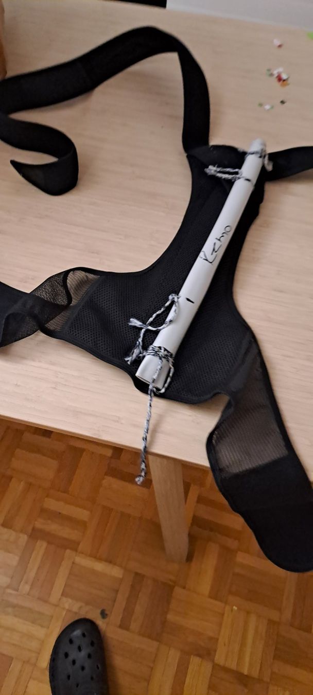 Costumi: Alex aus Madagascar Fasnachtskostüm – Usato da Gerlafingen venduto da Remo96 3