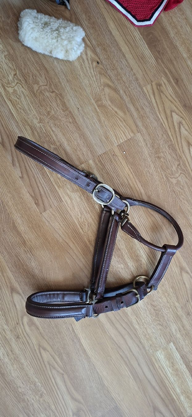Zaumzeug & Halfter: stallhalfter  – Gebraucht aus Ricken SG von Oesti.ha