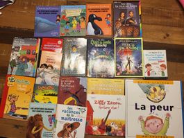 Lot de 20 livres jeunesse en français