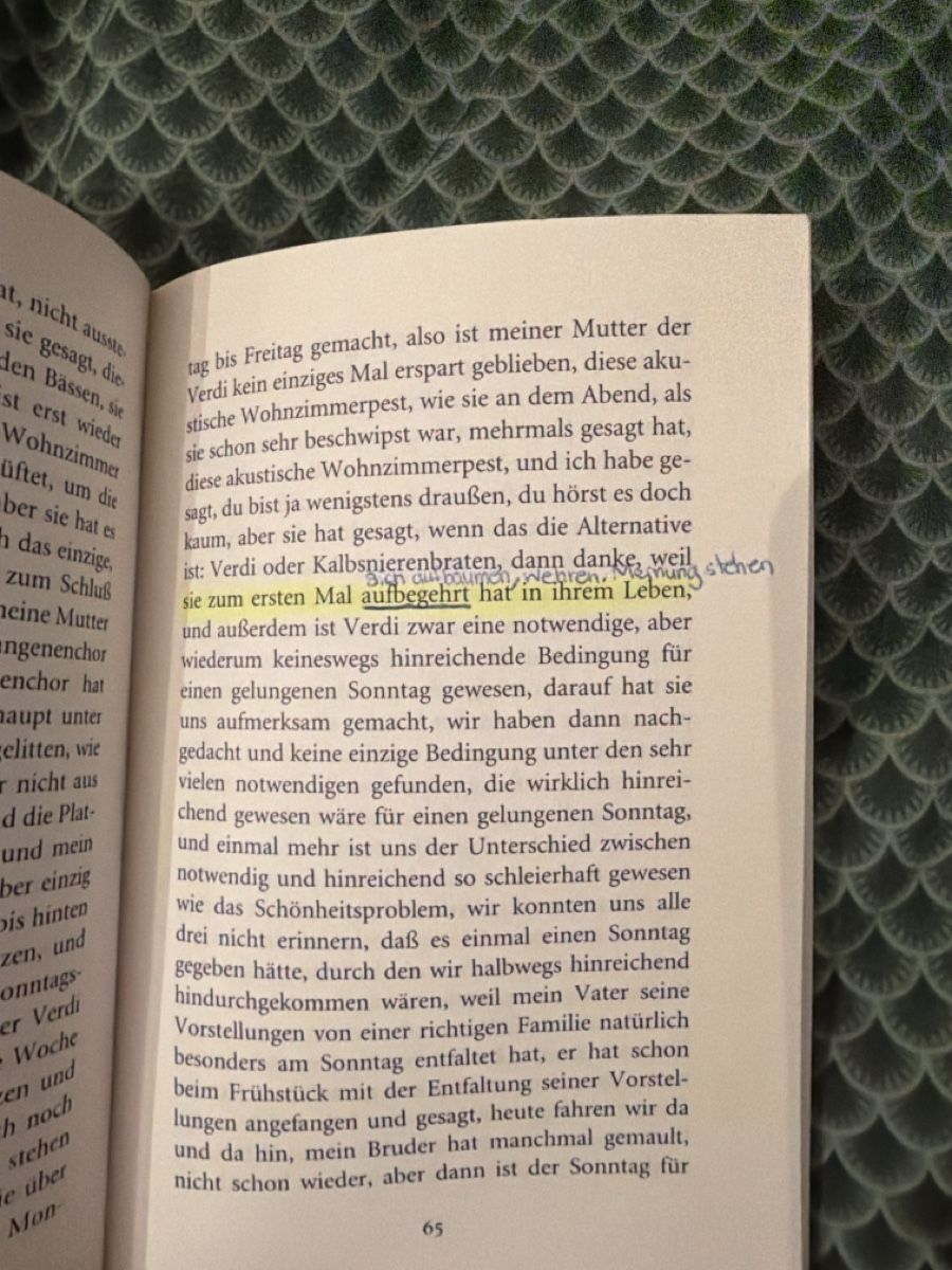 Libri: Buch Das Muschelessen von Birgit Vanderbeke gebraucht – Usato da Rüschlikon venduto da nat_cp8r 3