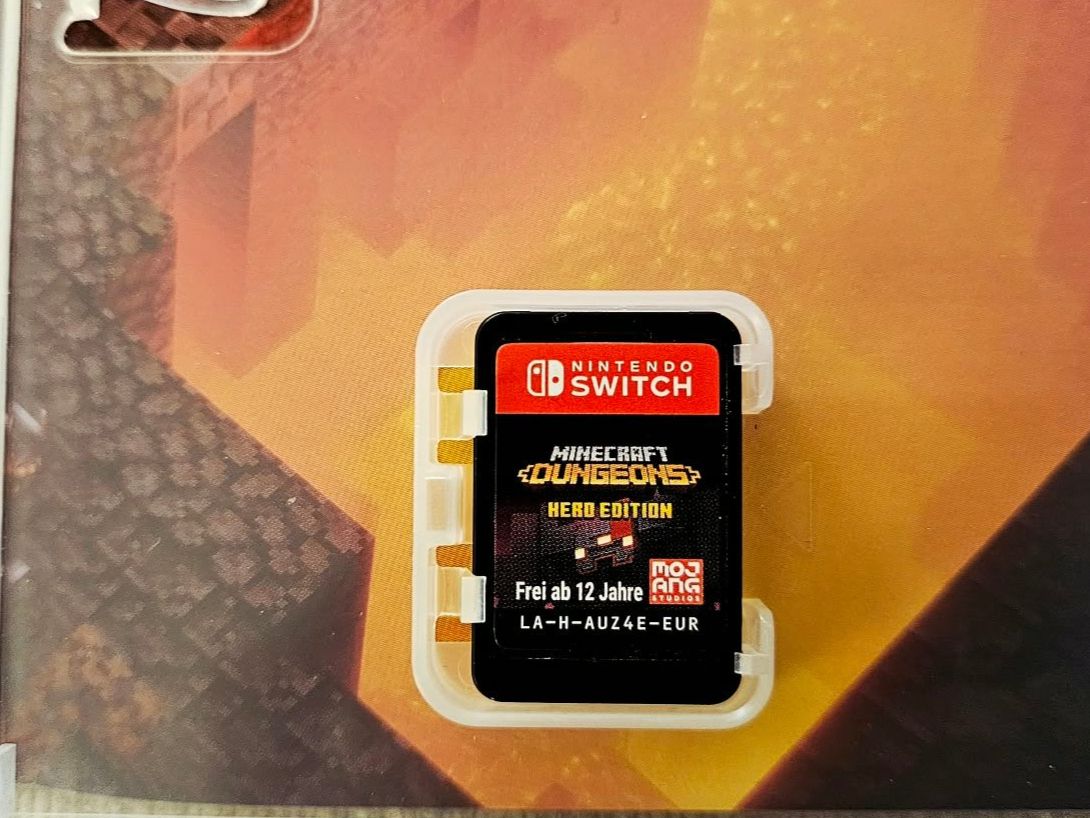 Giochi: Minecraft Dungeons Hero Edition - Nintendo Switch – Usato da Dietikon venduto da ric_567f 6