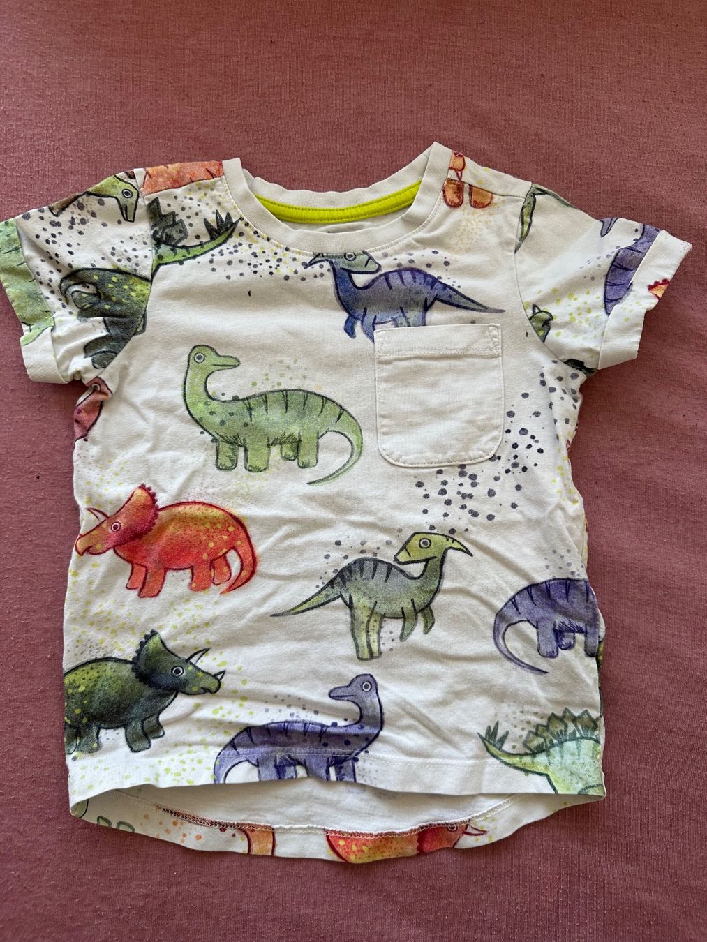 Camicie, T-shirt & Polo: T-Shirt Nutmeg – Usato da Dürrenroth venduto da tvy_bh56
